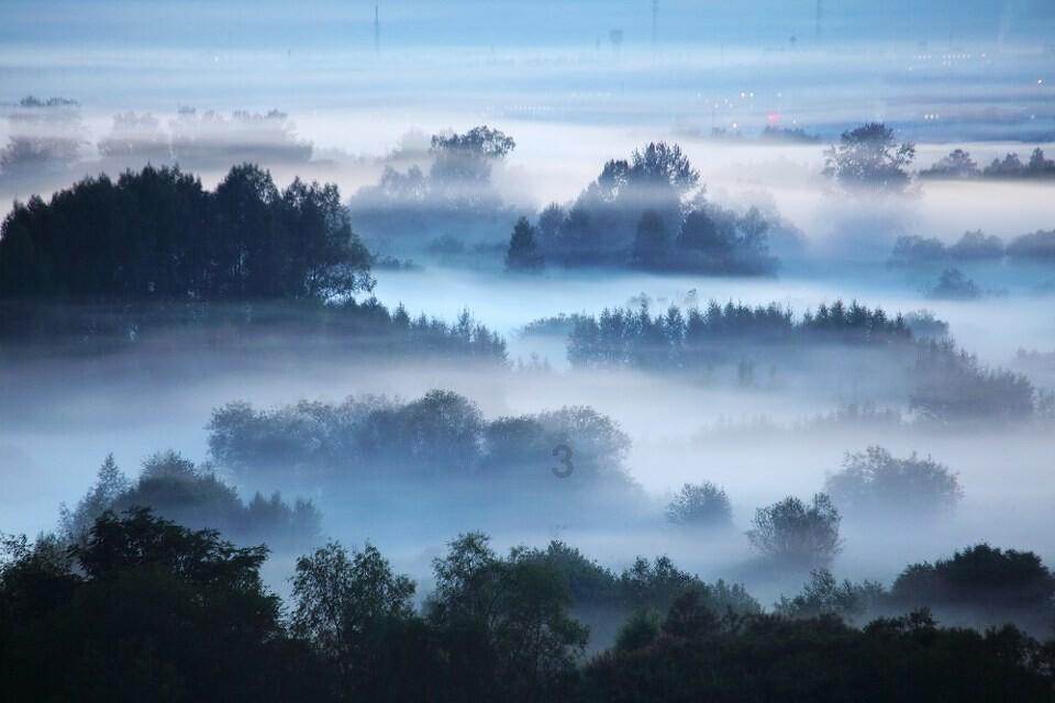 春雨直播app